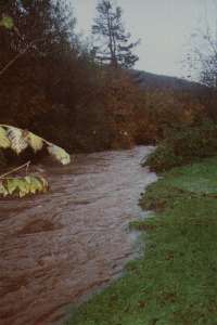  Across the river from Berwyn street - looking up river, inches from breeching the bank