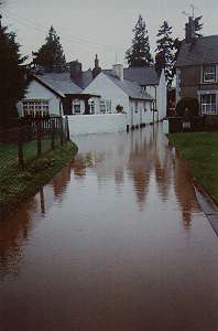  Across the river from Berwyn street - looking down river 