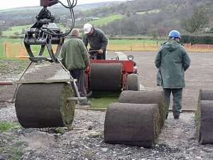  laying the first strip 